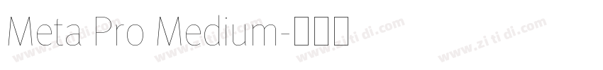 Meta Pro Medium字体转换